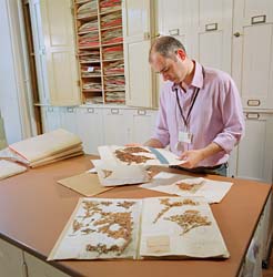 essays online in natural studies at discover-ua.com